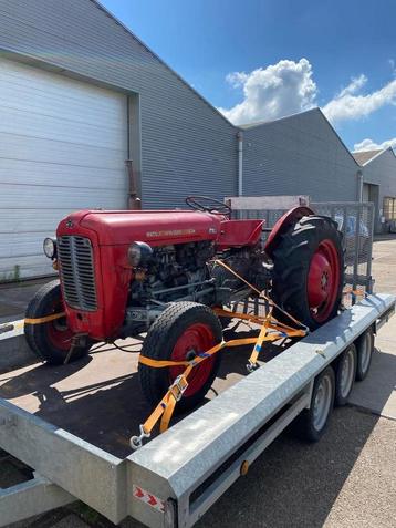 Massey ferguson 35 petrol / benzine beschikbaar voor biedingen