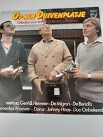 Zeer goede Lp op m'n Duivenplatje, Ophalen of Verzenden, Zo goed als nieuw, 12 inch