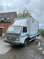 Paardenvrachtwagen - Volkswagen LT50, Particulier, Te koop