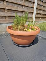 Grote plantenbak met schotel (ideaal voor kruiden e.a.), Tuin en Terras, Ophalen, Gebruikt