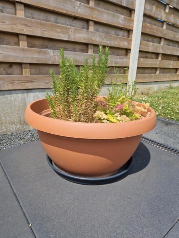 Grote plantenbak met schotel (ideaal voor kruiden e.a.) beschikbaar voor biedingen