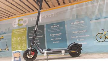 Trotinette électrique ninebot beschikbaar voor biedingen