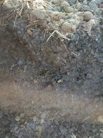 *GRATIS* zuivere paardenmest, Tuin en Terras, Aarde en Mest, Ophalen