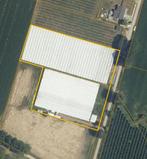 Landbouwgrond: biologische serre, Immo, Geetbets, Verkoop zonder makelaar, 1500 m² of meer