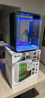 Aquarium, Ophalen