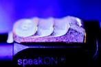 'Final Bass' Speakon subwoofer kabel van Chris Cables, Verzenden, Luidsprekerkabel