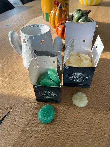 Scentchips Cactus Geurbrander, Enlèvement ou Envoi, Comme neuf