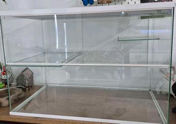 Terrarium reptiel, hamster, gerbil,... beschikbaar voor biedingen