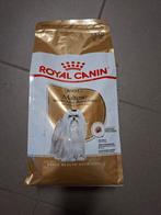 Royal canin maltezer brokjes. Nog lang goed., Ophalen of Verzenden