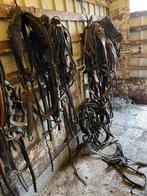 Paarden en pony tuigen