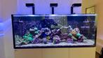 Volledig uitgerust rifaquarium - RedSea Reefer G2 625XX, Dieren en Toebehoren, Gevuld zeewateraquarium, Zo goed als nieuw, Ophalen