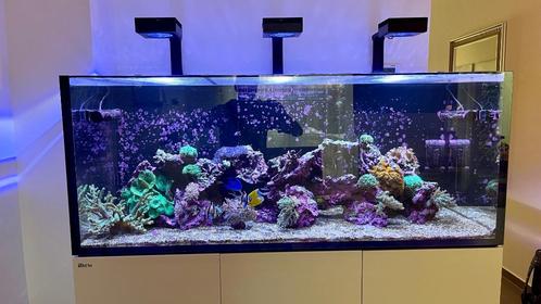 Aquarium récifal entièrement équipé - RedSea Reefer G2 625XX, Animaux & Accessoires, Poissons | Aquariums & Accessoires, Comme neuf