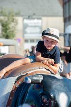 rodeo stieren, Verzenden