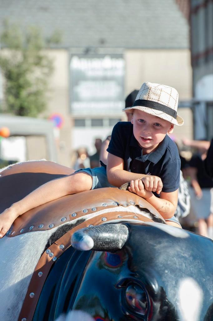 rodeostier  rodeo stier goedkoper kan niet, Hobby en Vrije tijd, Overige Hobby en Vrije tijd, Zo goed als nieuw, Verzenden