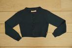 truitje Someone, maat 128, Kinderen en Baby's, Kinderkleding | Maat 128, Gebruikt, Meisje, Trui of Vest, Ophalen of Verzenden