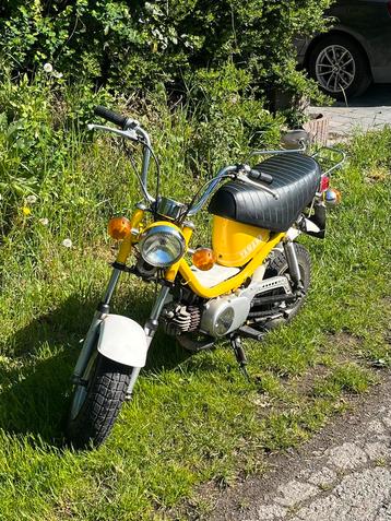 Yamaha Chappy 1975, Enlèvement, Classe B (45 km/h), 49 cm³, Yamaha