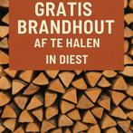 Gratis brandhout voor kachel/haard – regio Diest, Tuin en Terras, Brandhout, Ophalen