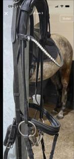 LJ hoofdstel, Ophalen of Verzenden, Zo goed als nieuw