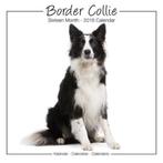 Calendrier Border Collie 2018, Divers, Calendriers, Envoi, Calendrier annuel, Neuf