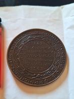 Grote medaille 1843 1943 Carde Duesberg Delrez, Ophalen of Verzenden