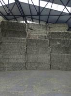 Foin biologique - récolte 2025 pour bétail et chevaux, Animaux & Accessoires, Enlèvement, Bétail