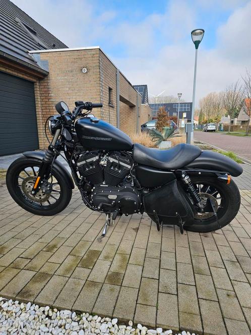 Harley Davidson en fer XL 883, Motos, Motos | Harley-Davidson, Particulier, Chopper, Enlèvement