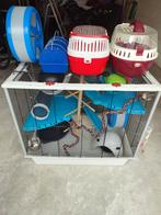 Ratten kooi met accessoires + 2 reiskooien, Ophalen, Gebruikt, 60 tot 90 cm, 75 tot 110 cm