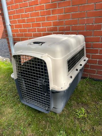 Cage transport chien XL beschikbaar voor biedingen