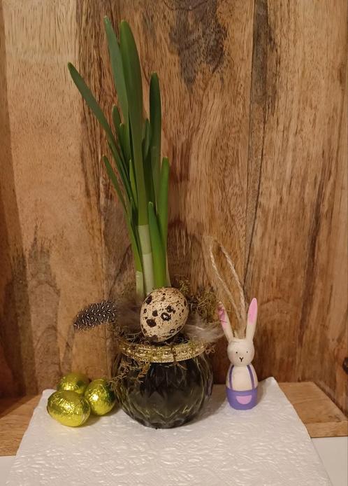 paasbloemstuk met narcis, Huis en Inrichting, Kamerplanten, Overige soorten, Minder dan 100 cm, Bloeiende kamerplant, Volle zon
