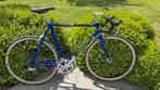 Giant Cadex CFR-3 uit 1994 Carbon - 10.0 kg gewogen, Fietsen en Brommers, Ophalen, 28 inch, Gebruikt, Aluminium