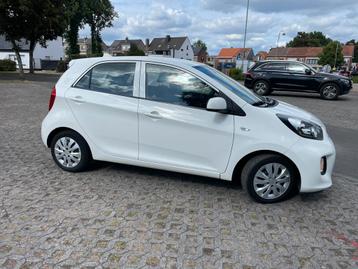 Kia picanto 1.0cc slechts 97Dkm 5/2017 beschikbaar voor biedingen