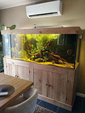 Groot aquarium  beschikbaar voor biedingen