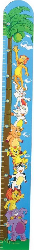 Houten groeimeter kokosnoot, Ophalen of Verzenden, Nieuw, Overige typen