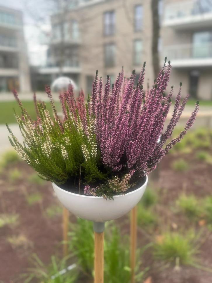 Plantenbak Gardena ClickUp! - NIEUW in verpakking, Tuin en Terras, Bloembakken en Plantenbakken, Nieuw, Kunststof, Binnen, Balkon