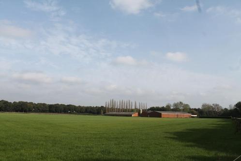 Kalverhouderij + Paardenhouderij op ca. 2,85 ha in Ravels, Immo, Huizen en Appartementen te koop, Turnhout, 1500 m² of meer, Overige soorten