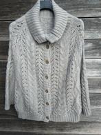 Nieuwe Beige/Grijze Gilet Genre Capemodel T 42/44, Kleding | Dames, Ophalen of Verzenden, Zo goed als nieuw, Maat 42/44 (L), Beige