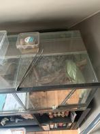 Double terrarium tapis chauffant, Dieren en Toebehoren, Ophalen, Zo goed als nieuw