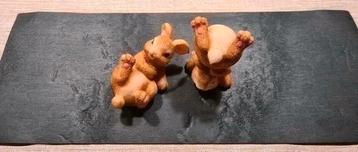 2 leuke konijntjes beschikbaar voor biedingen