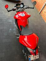 MV Augusta 910 Brutal, Motos, Motos | MV Agusta, Naked bike, Particulier, 909 cm³, Plus de 35 kW