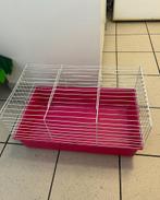 kooi voor konijnen en cavia's, Ophalen of Verzenden, Zo goed als nieuw, Kooi, Cavia