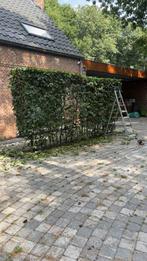 Tuinen werken schilde, Tuin en Terras, Ophalen, Zo goed als nieuw