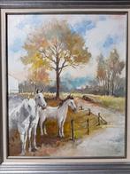 Schilderij paarden in de wei B50xH60, Antiek en Kunst, Ophalen