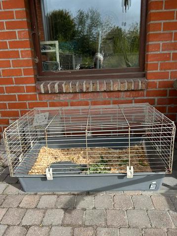 Konijn-cavia hok 90 x 55 beschikbaar voor biedingen