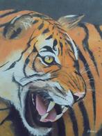 peinture à l'huile tigre du Bengale (60x80 cm), Enlèvement ou Envoi