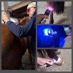 Laser of LED therapie, Osteopathie, Revalidatie paarden, Dressage