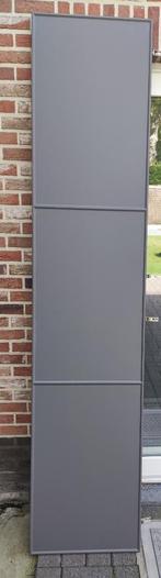 Ikea 2 deuren met scharnieren voor Paxkast, Ophalen, Zo goed als nieuw