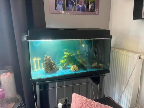 Aquarium, Dieren en Toebehoren, Vissen | Aquaria en Toebehoren, Gebruikt, Verlichting of Verwarming, Ophalen