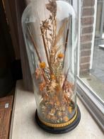 Glazen stolp, Huis en Inrichting, Woonaccessoires | Stolpen, Ophalen, Zo goed als nieuw