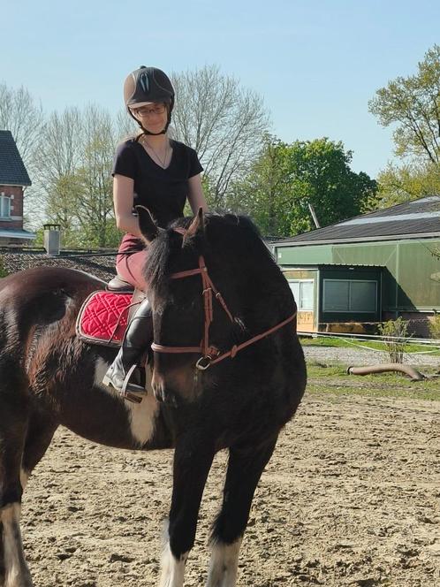 Hulp/verzorgster/gezelschap gezocht regio Schaffen, Dieren en Toebehoren, Paarden