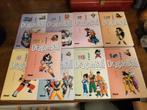 9 dragons  ball pastels en très bon état., Boeken, Kinderboeken | Jeugd | 13 jaar en ouder, Ophalen